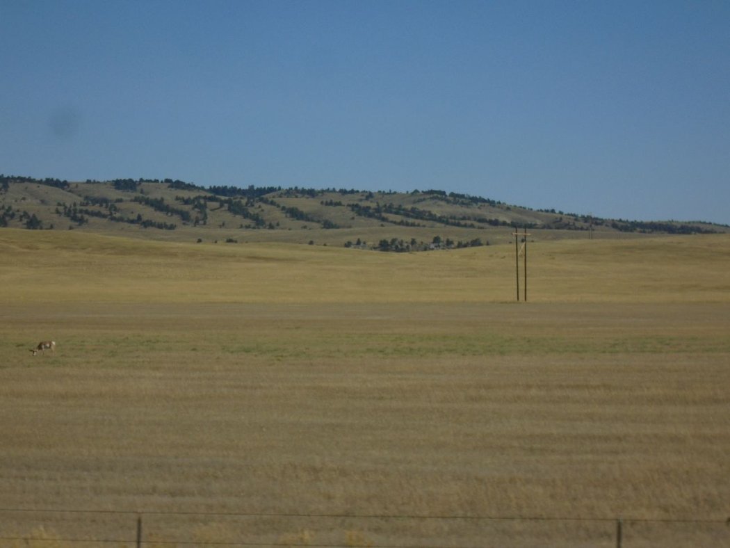 DSC01417.jpg