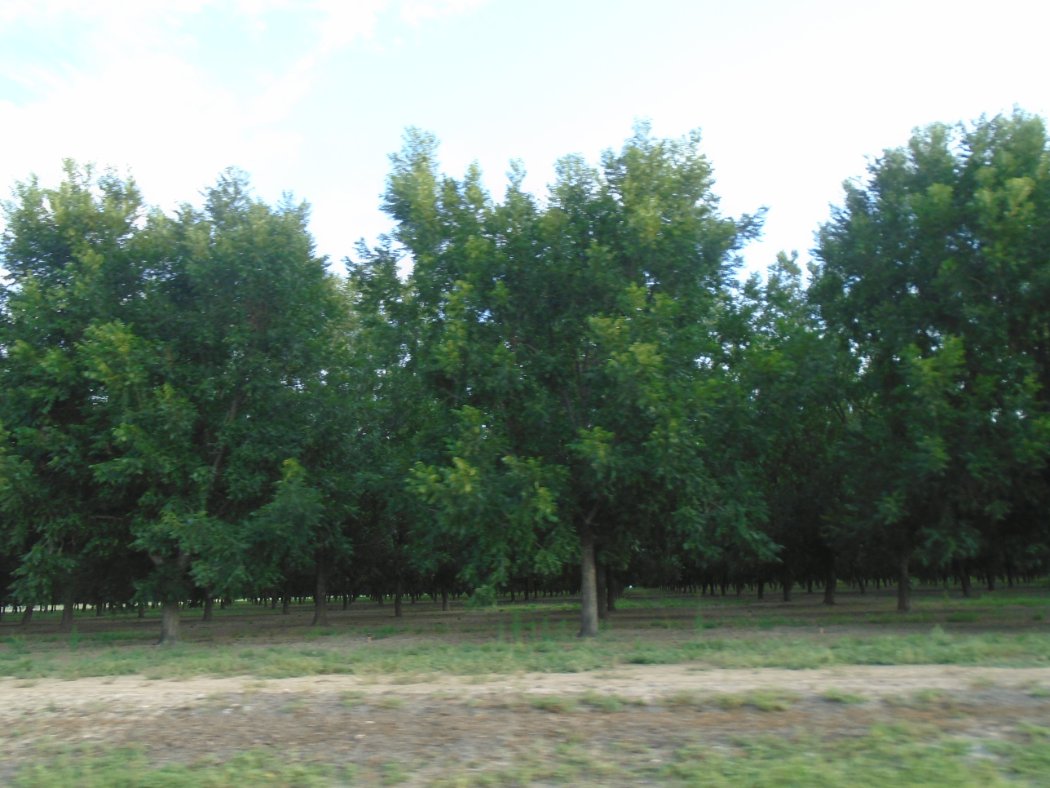 DSC03643.JPG