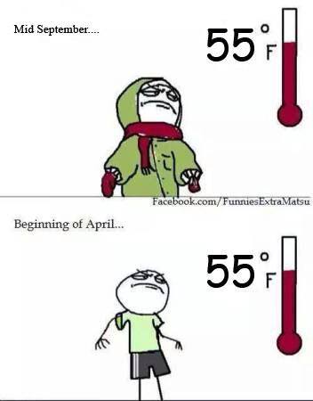 temp.jpg