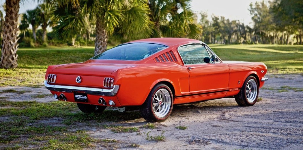 66 fastback.jpg