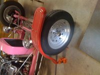 pinky-t 003 (Small).jpg
