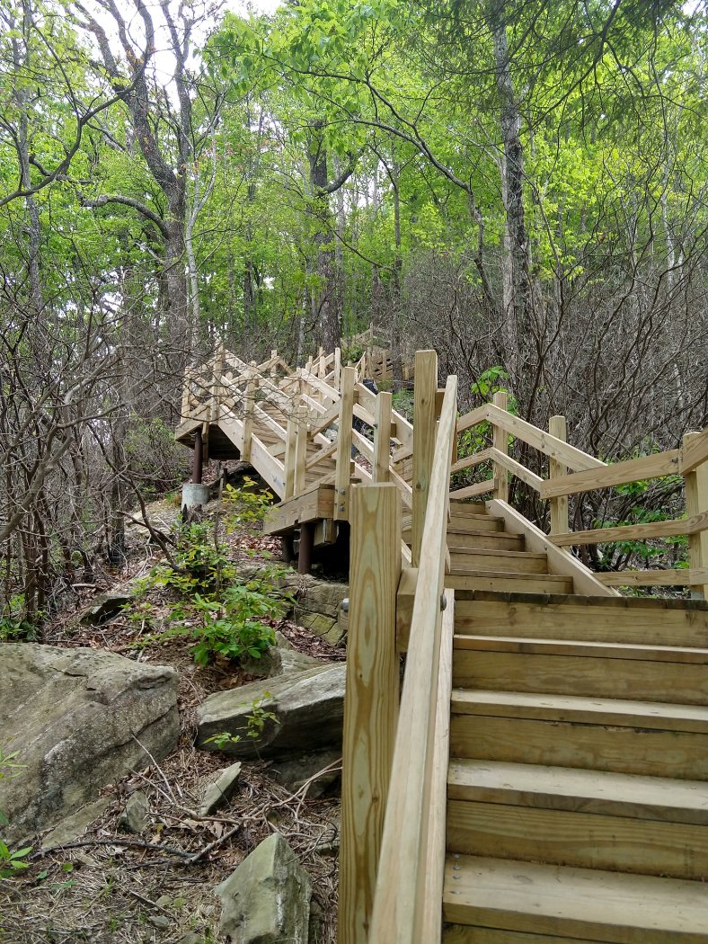 IMG_20190503_145833929_HDR-1512x2016.jpg